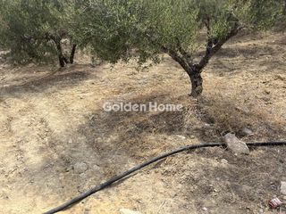 Οικόπεδο 4.000 τ.μ. για πώληση