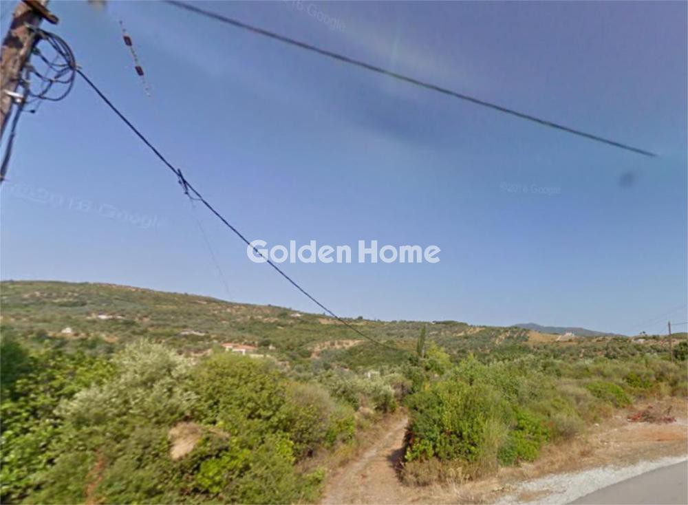 Οικόπεδο 6.100 τ.μ. πρός πώληση, Μαγνησία, Αργαλαστή