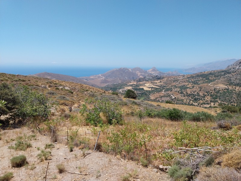 Αγροτεμάχια 1.230 τ.μ. πρός πώληση, Ν. Ρεθύμνου, Λάμπη