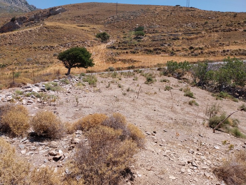 Αγροτεμάχια 1.230 τ.μ. πρός πώληση, Ν. Ρεθύμνου, Λάμπη