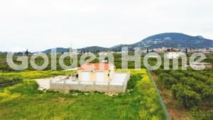 Land plot 5.000 sqm for sale