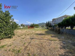 Οικόπεδο 1.768 τ.μ. για πώληση, Εύβοια, Μεσσαπία-thumb-8
