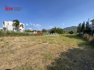 Οικόπεδο 1.768 τ.μ. για πώληση, Εύβοια, Μεσσαπία-thumb-14
