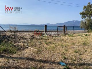 Οικόπεδο 1.768 τ.μ. για πώληση, Εύβοια, Μεσσαπία-thumb-19