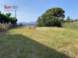 Οικόπεδο 1.768 τ.μ. για πώληση, Εύβοια, Μεσσαπία-thumb-18