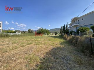 Οικόπεδο 1.768 τ.μ. για πώληση, Εύβοια, Μεσσαπία-thumb-12