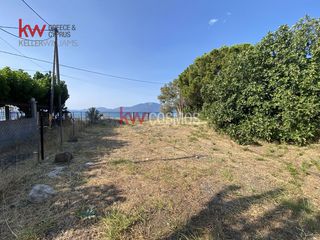 Οικόπεδο 1.768 τ.μ. για πώληση, Εύβοια, Μεσσαπία-thumb-9