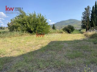 Οικόπεδο 1.768 τ.μ. για πώληση, Εύβοια, Μεσσαπία-thumb-20