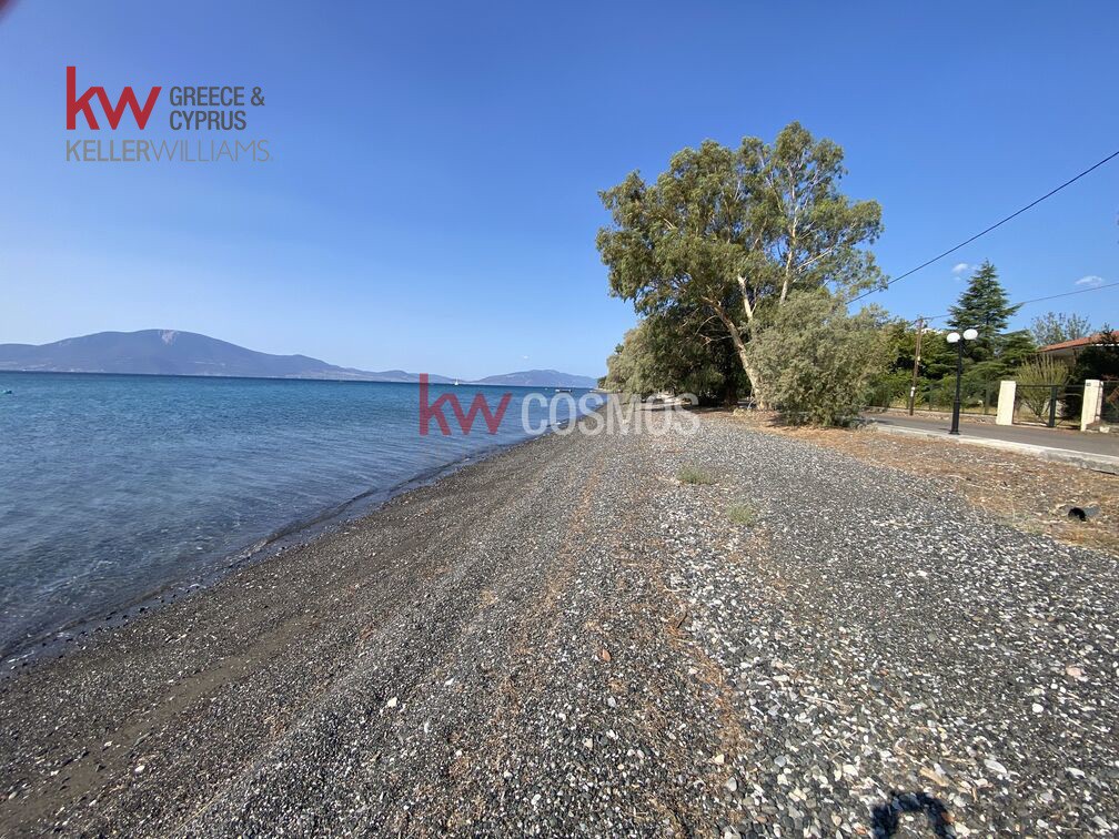 Οικόπεδο 1.768 τ.μ. προς πώληση, Μεσσαπία