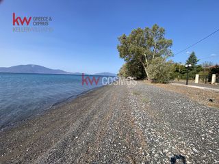 Οικόπεδο 1.768 τ.μ. για πώληση, Εύβοια, Μεσσαπία-thumb-3