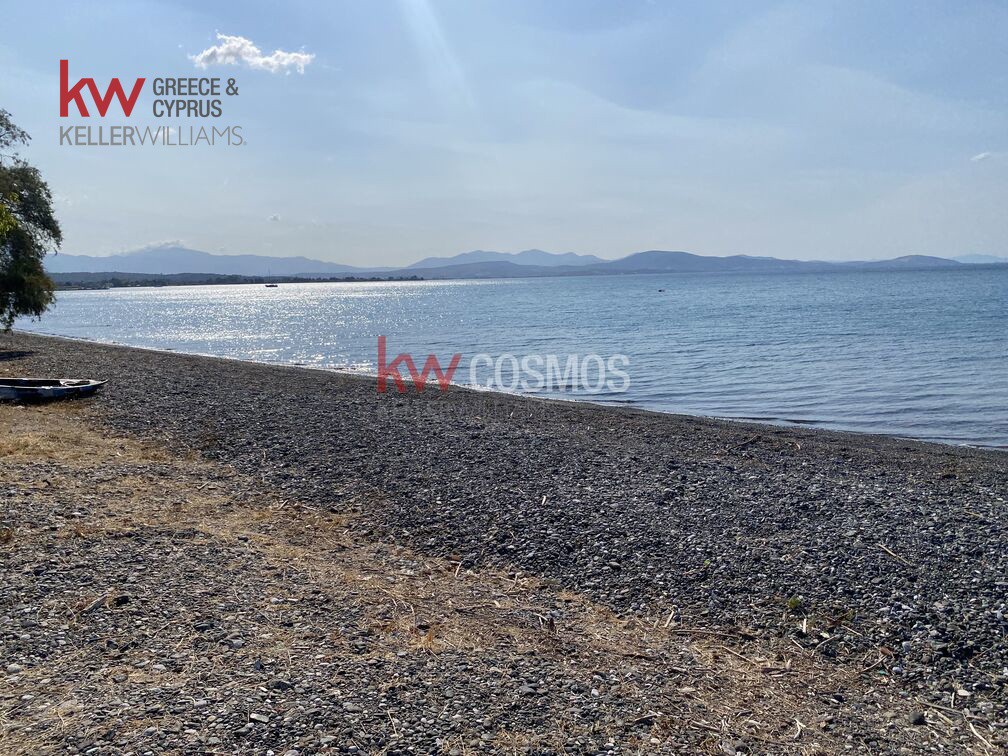 Οικόπεδο 1.768 τ.μ. προς πώληση, Μεσσαπία
