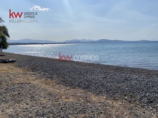 Οικόπεδο 1.768 τ.μ. για πώληση, Εύβοια, Μεσσαπία-thumb-2