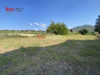 Οικόπεδο 1.768 τ.μ. για πώληση, Εύβοια, Μεσσαπία-thumb-16