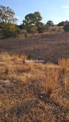 Οικόπεδο 5.500 τ.μ. για πώληση, Φωκίδα, Γαλαξίδι-thumb-3