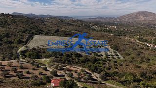 Αγροτεμάχια 20.074 τ.μ. για πώληση