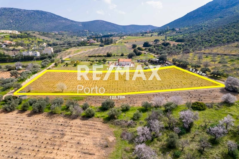 Αγροτεμάχια 5.076 τ.μ. πρός πώληση, Αττική - Υπόλοιπο, Μαρκόπουλο