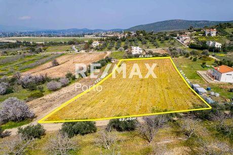 Αγροτεμάχια 5.076 τ.μ. πρός πώληση