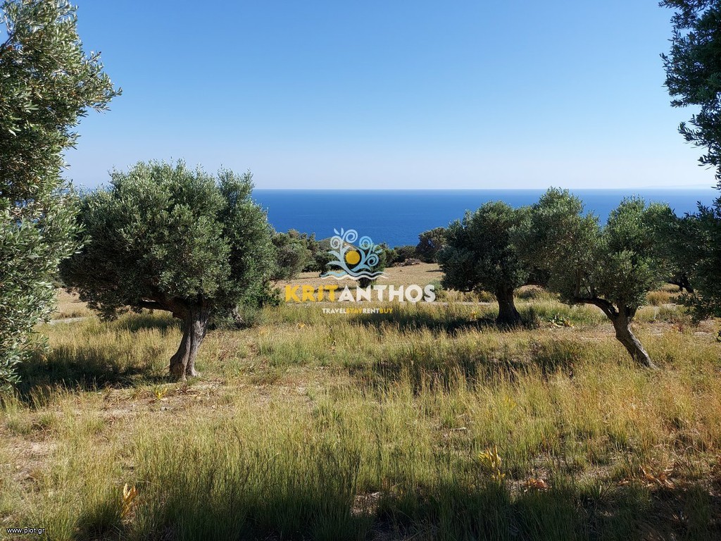 Οικόπεδο 1.626 τ.μ. πρός πώληση, Ν. Ρεθύμνου, Λάμπη