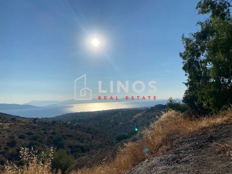 Οικόπεδο 7.500τ.μ. για πώληση-Αίγινα