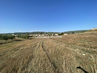Αγροτεμάχια 5.044 τ.μ. για πώληση
