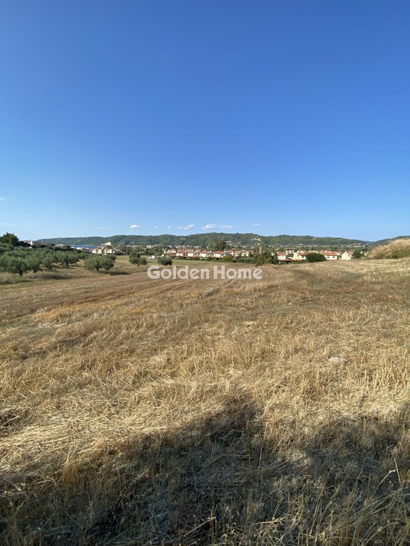 Αγροτεμάχια 5.044 τ.μ. προς πώληση, Γλυφονέρι