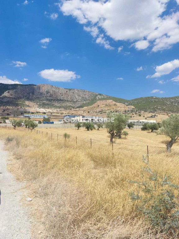 Οικόπεδο 9.000 τ.μ. προς πώληση, Χώρα Άνδρου