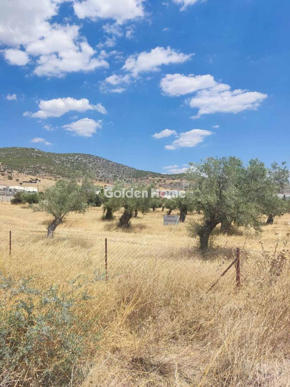 Οικόπεδο 9.000 τ.μ. προς πώληση, Χώρα Άνδρου