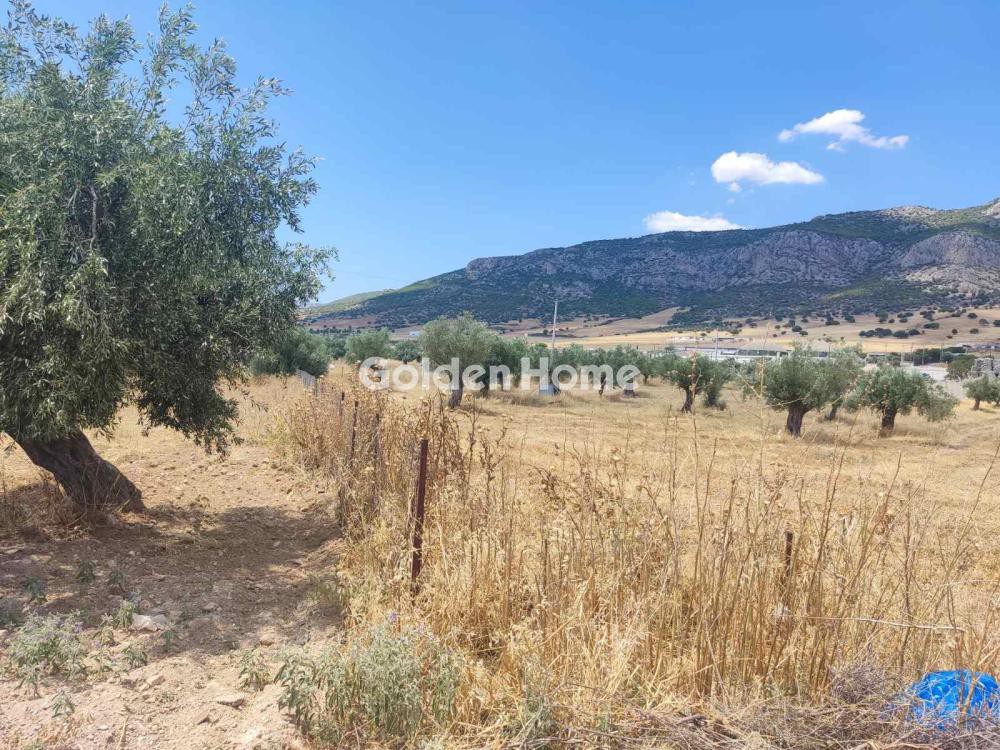 Οικόπεδο 9.000 τ.μ. προς πώληση, Χώρα Άνδρου