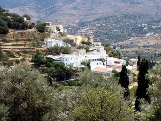 Αγροτεμάχια 9.800 τ.μ. για πώληση
