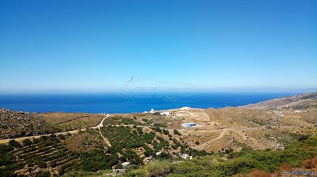Αγροτεμάχια 10.140 τ.μ. για πώληση