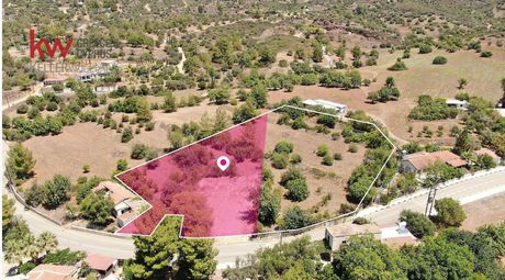 Αγροτεμάχια 2.753τ.μ. για πώληση-