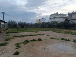 Land plot 1.375 sqm for rent