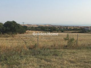 Αγροτεμάχια 4.900 τ.μ. για πώληση