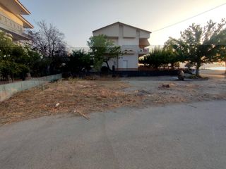 Οικόπεδο 238 τ.μ. για πώληση, Εύβοια, Αρτεμίσιο-thumb-4
