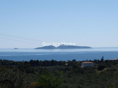 Αγροτεμάχια 8.000τ.μ. για πώληση-Κρανίδι » Κάμπος