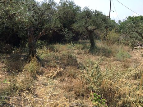 Land plot 114sqm for sale-Lefktros » Nomitsis
