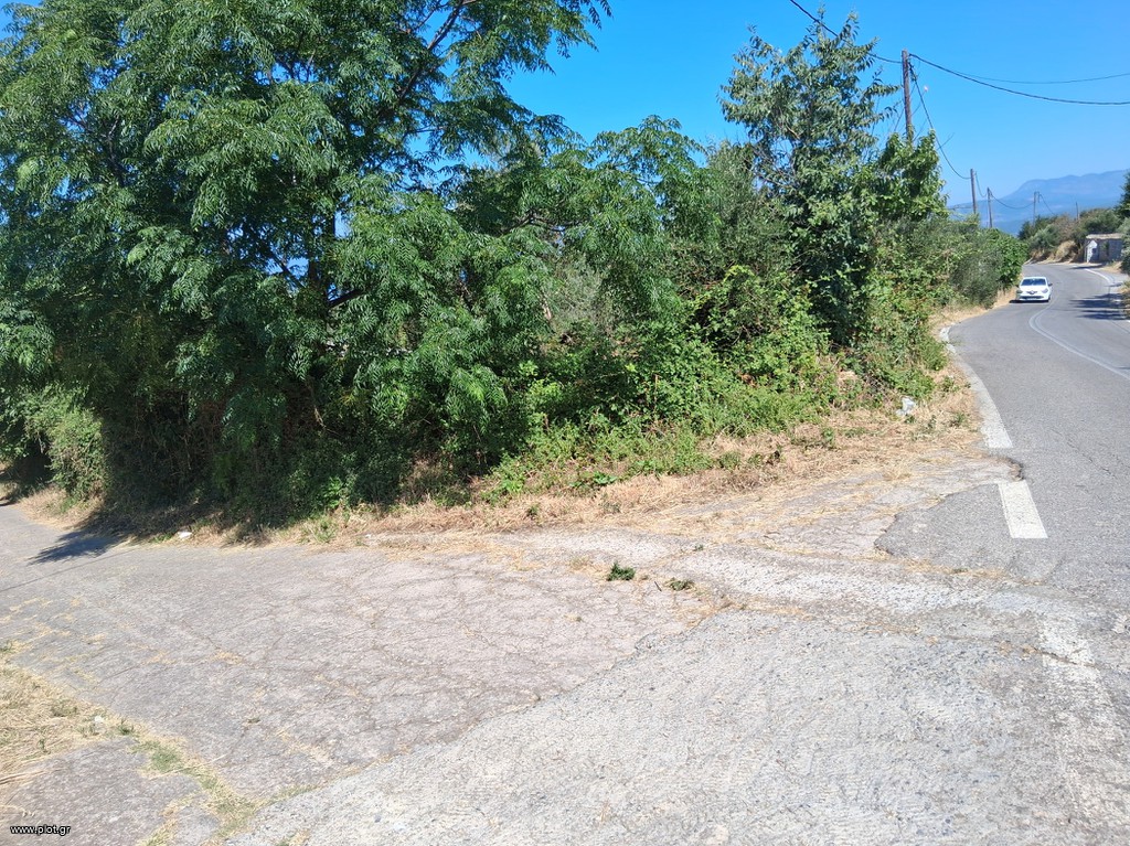 Οικόπεδο 114 τ.μ. πρός πώληση, Μεσσηνία, Λεύκτρος
