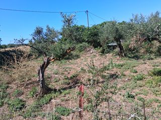 Οικόπεδο 114 τ.μ. προς πώληση, Νομιτσής-thumb-5