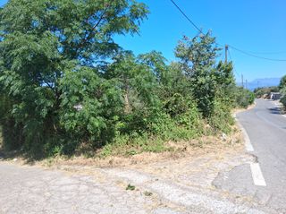 Οικόπεδο 114 τ.μ. προς πώληση, Νομιτσής-thumb-9