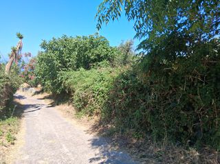 Οικόπεδο 114 τ.μ. προς πώληση, Νομιτσής-thumb-18