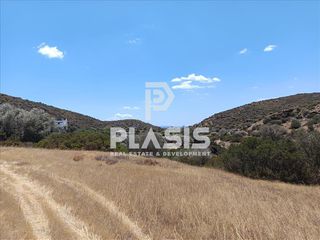 Οικόπεδο 10.000 τ.μ. για πώληση