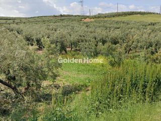 Οικόπεδο 2.102 τ.μ. για πώληση