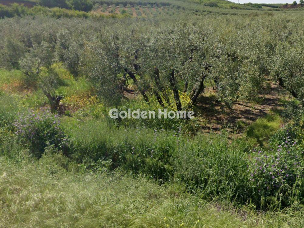 Οικόπεδο 2.102 τ.μ. προς πώληση, Άγιος Μάμας Μουδανιών