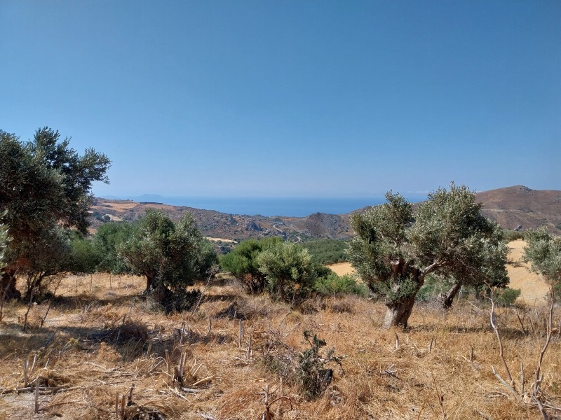 Αγροτεμάχια 1.791 τ.μ. πρός πώληση, Ν. Ρεθύμνου, Λάμπη