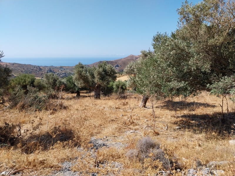 Αγροτεμάχια 1.791 τ.μ. πρός πώληση, Ν. Ρεθύμνου, Λάμπη
