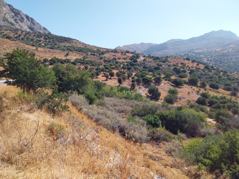Αγροτεμάχια 1.791 τ.μ. πρός πώληση, Ν. Ρεθύμνου, Λάμπη