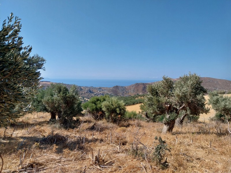 Αγροτεμάχια 1.791 τ.μ. πρός πώληση, Ν. Ρεθύμνου, Λάμπη