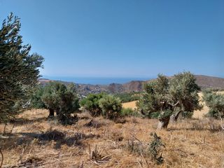Αγροτεμάχια 1.791 τ.μ. για πώληση