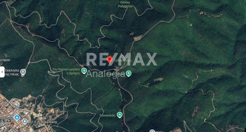 Αγροτεμάχια 4.000 τ.μ. προς πώληση, Κέντρο Πολυγύρου