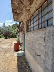Οικόπεδο 4.505 τ.μ. προς πώληση, Μιντιλόγλι-thumb-1